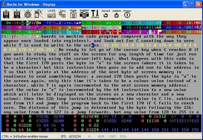 Running code embedded in the manual through the monitor program.