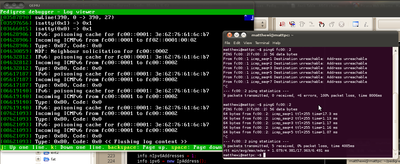 pedigree-ipv6-first-ping.png