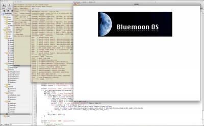 Bluemoon OS. 06 Mar 2012.