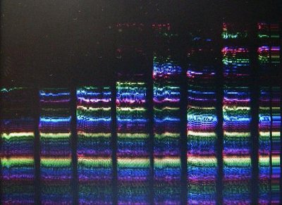 Picture shows components of 8 speech sounds by frequency.