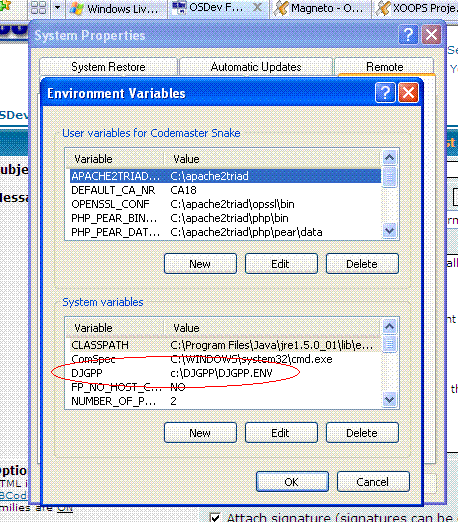 Env variable