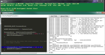 Screenshot of the OS and debugger.