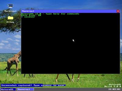 The OS, in all its glory